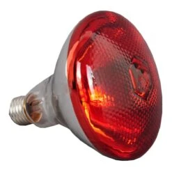 Commercial Food Warmer 5 Heating Lamps | Adexa WL1375 5 Commercial Food Warmer 5 Heating Lamps | Adexa WL1375 -Kitchen Pro Shop WL bulb 1200x1200 2